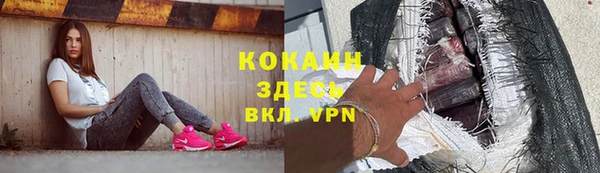 гидра Билибино