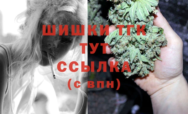 гидра Билибино